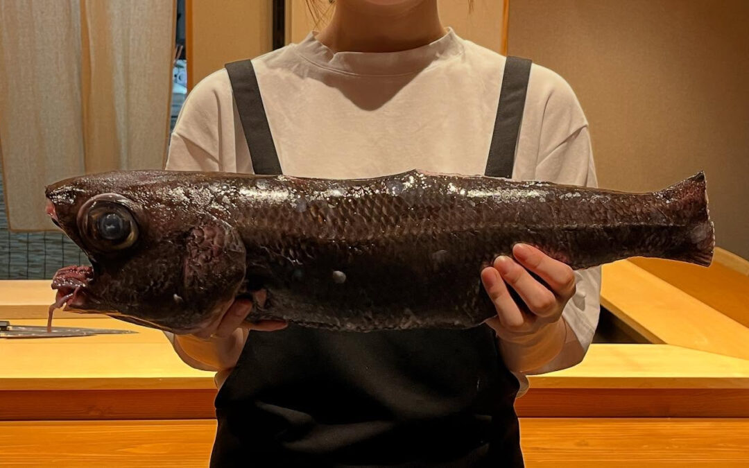 3キロの黒ムツ(神津島)