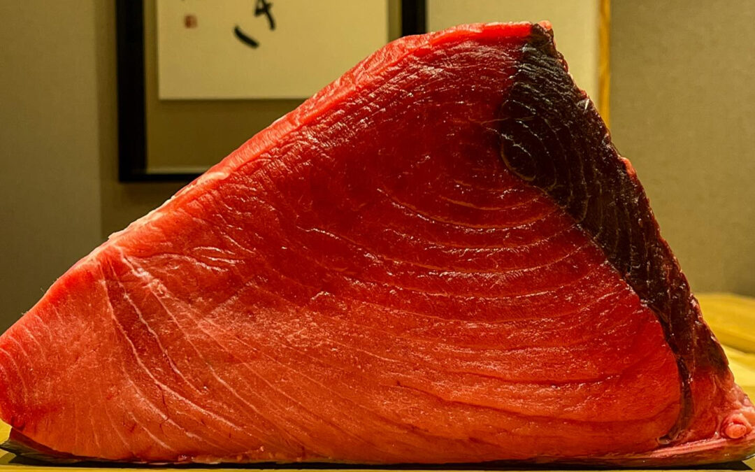 北海道 戸井 108kg 延縄