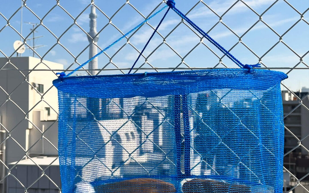 カラスミとスカイツリー