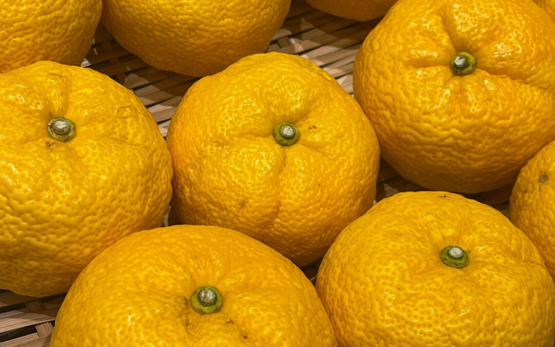 ゆず胡椒とジャム、と柚子湯に