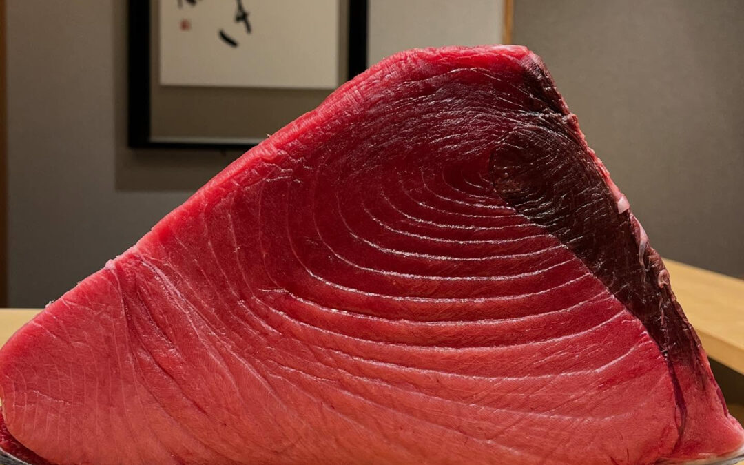 初マグロは大畑(青森) 107k