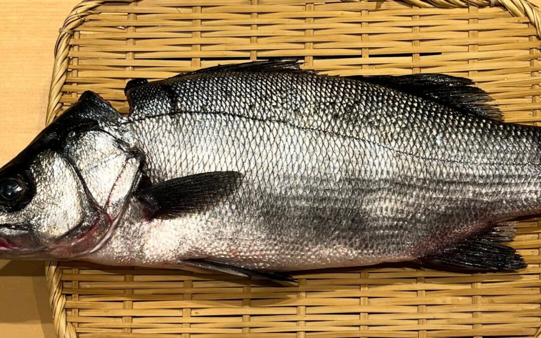 ひらすずきと金目鯛